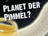 Planet der Pimmel